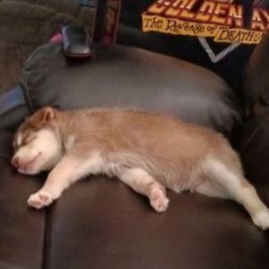 Meet your Posher, Madison